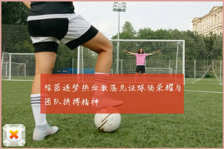 绿茵逐梦热血激荡见证球场荣耀与团队拼搏精神