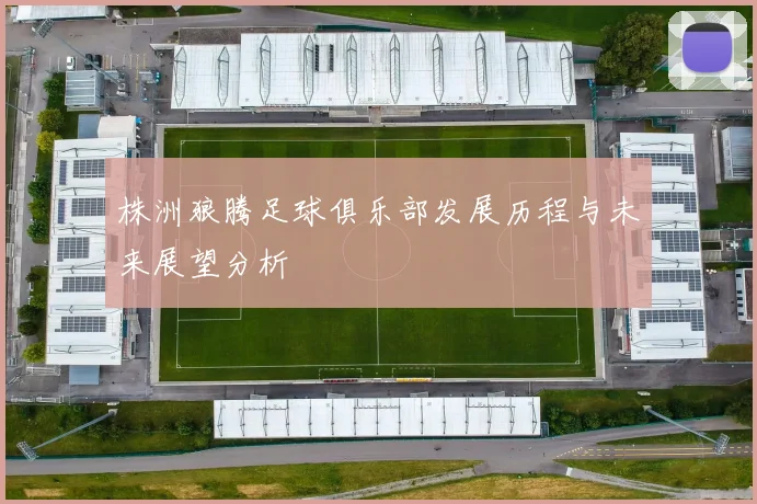 株洲狼腾足球俱乐部发展历程与未来展望分析