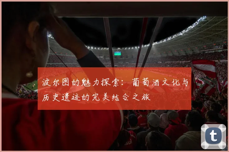 波尔图的魅力探索：葡萄酒文化与历史遗迹的完美结合之旅