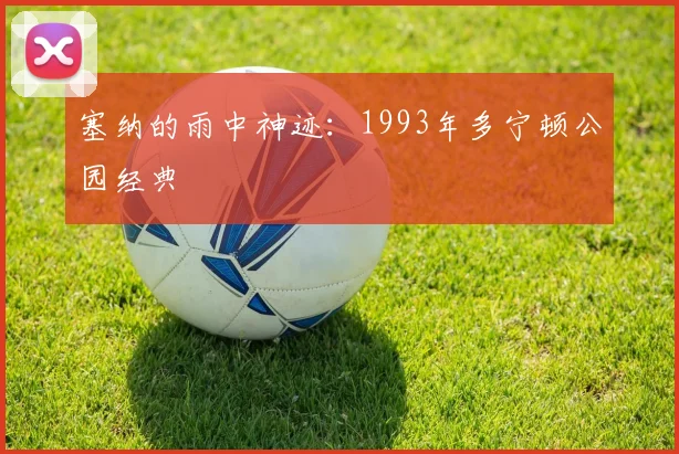 塞纳的雨中神迹：1993年多宁顿公园经典