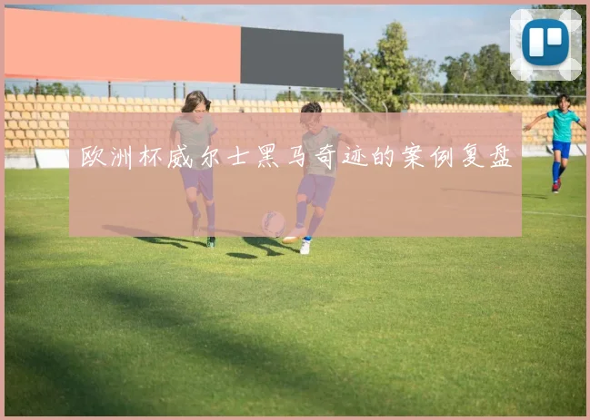 欧洲杯威尔士黑马奇迹的案例复盘