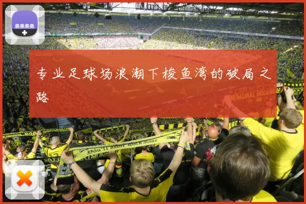 专业足球场浪潮下梭鱼湾的破局之路