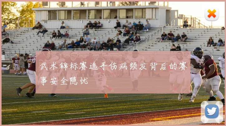 武术锦标赛选手伤病频发背后的赛事安全隐忧
