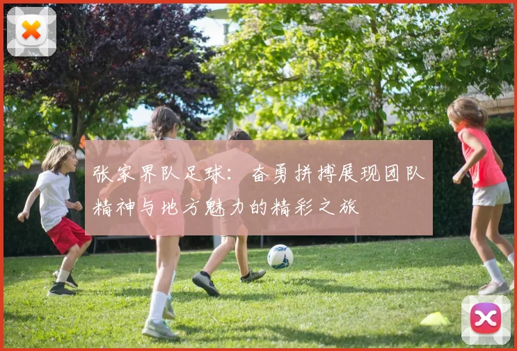 张家界队足球：奋勇拼搏展现团队精神与地方魅力的精彩之旅
