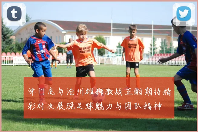津门虎与沧州雄狮激战正酣期待精彩对决展现足球魅力与团队精神