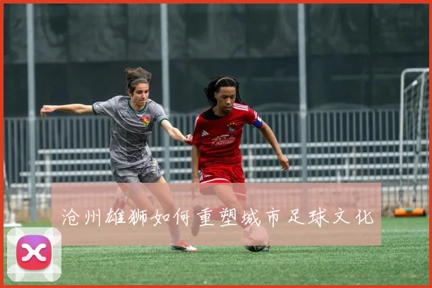沧州雄狮如何重塑城市足球文化