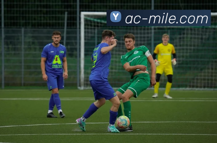 米乐M14APP 高清赛事图